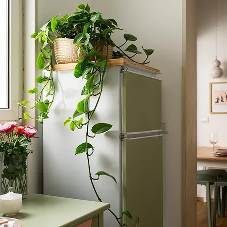 Catarì Casa vacanze *